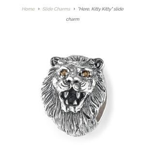 Silver Lion Slide Charm